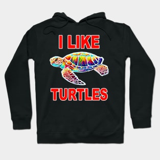 I Like Turtles Hoodie